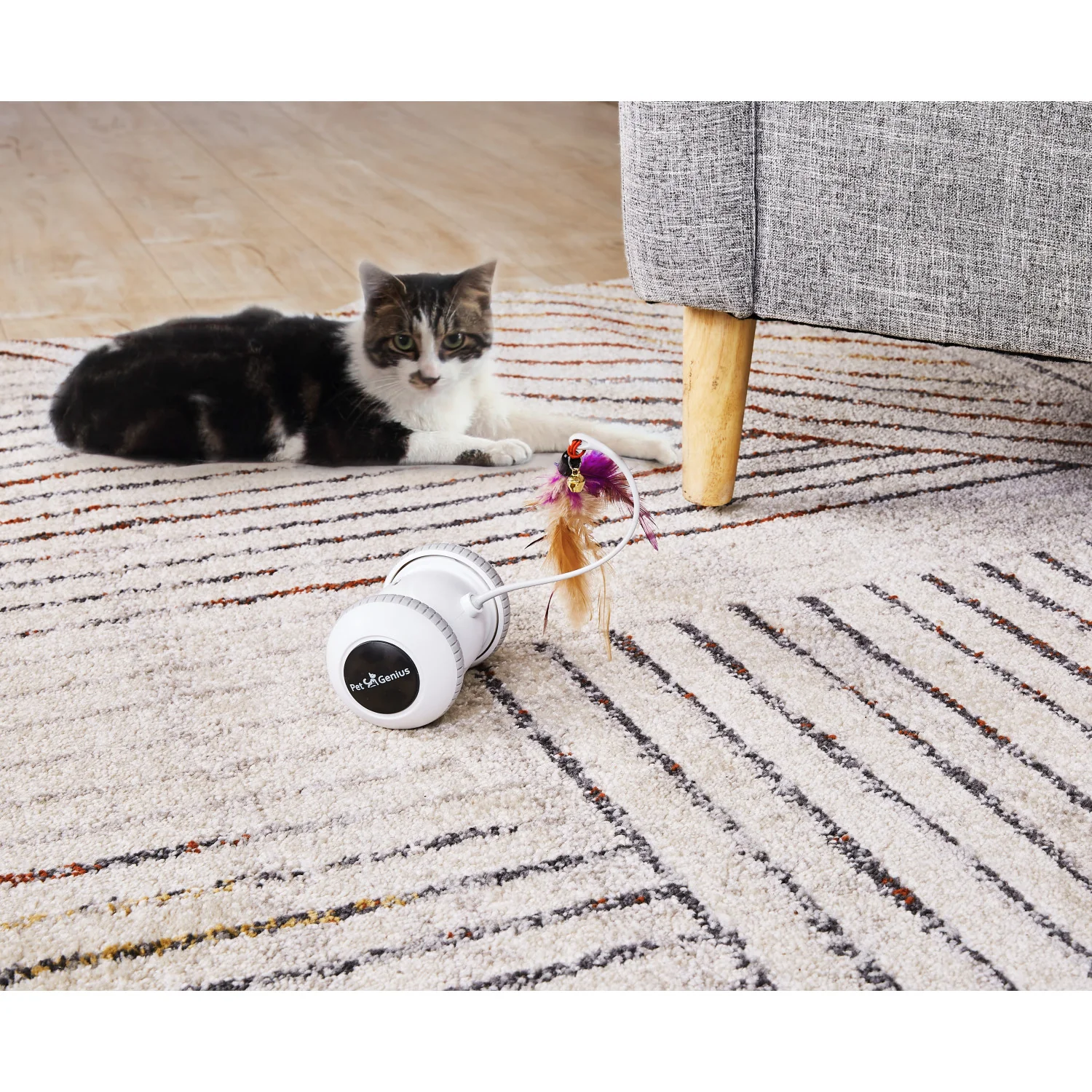 Pet Genius Smart Play Rover - Image 6